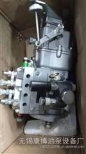 山东康达高压油泵总成4I136-85 适用BHR4102YR发动机BHR4102YR