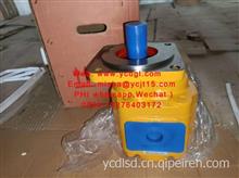 Gear  pump  齿轮泵 60301000041  for Lonking  / 60301000041 