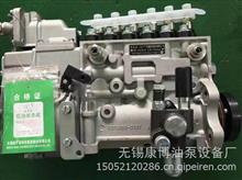无锡威孚Yuchai6112高压油泵总成P7100/6TCP126P155-120-1100