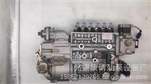 重汽D12燃油喷射泵/发动机高压油泵CB6H982 VG1095080100豪沃A7VG1095080100