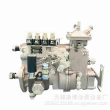 高压燃油泵BHF4PMS095209无锡威孚喷油泵4PMS401 油泵总成4PMS401 