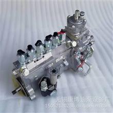 适用于东风康明斯发动机PC220-7挖机6BT燃油喷射泵总成40638444063844