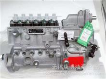 发动机高压油泵 无锡威孚6PH113-120-1100 81007233 52603346PH113-120-1100