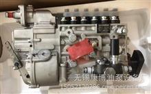 CB6P820中国重汽集团重庆燃油喷射系统高压油泵总成柴油泵总成 VG2600081162