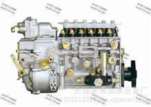 玉柴YC6A260-30型机原装龙口龙泵喷油泵总成BH6HPBP5307R