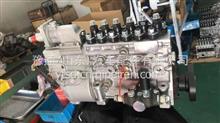 VG1096080160潍柴华丰动力亚新科喷油泵总成全新CB6TH953 VG1096080160