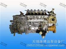 玉柴YC6M320/340四气门型机原装龙口龙泵喷油泵总成P7100/6TCP12YC6M320/340/360