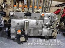 锡柴4DF2-17GJ-02P高压油泵总成适用江淮车发动机4110 BH4P120柴油机4DF2-17GJ-02P