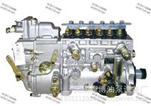 大柴CA6DE3-22E3F-069车用发动机PZ/BH6P燃油泵高压油泵CA6DE3-22E3F-069