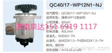 QC40/17-WP12N1-NJ动力转向泵转向齿轮泵液压泵助力泵/QC50/17-WP12N1-NJ