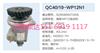 QC40/19-WP12N1动力转向泵转向齿轮泵液压泵助力泵 SZ9K869470406