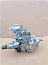 VE泵0460426499 VE6／12F1100R2065-1 BOSCH喷油泵用于AGCO SISU POWER836872609发动机0460426499