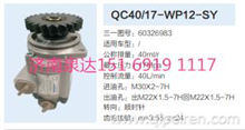 QC40/17-WP12-SY动力转向泵转向齿轮泵液压泵助力泵/60326983