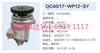 QC40/17-WP12-SY动力转向泵转向齿轮泵液压泵助力泵 60326983