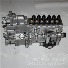 龙口高压油泵BP5735燃油泵原装正品T832080202适用天津雷沃6B230发动机T832080202