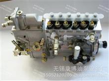 龙口高压油泵BP5535/BP5535A燃油泵原装正品T832089073适用天津雷沃190TiT832089073