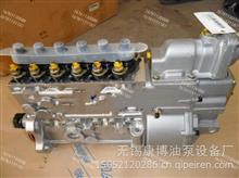 BP5553喷油泵高压油泵总成S00003612+01 BH6P120工程机械燃油泵上海柴油机SC9D210.1G2B1燃油泵S00003612+01