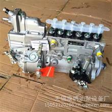 BP5344锡柴CA6DL2-31E3F用高压油泵原装正品1111010-673-1Y151TD1111010-673-1Y151TD