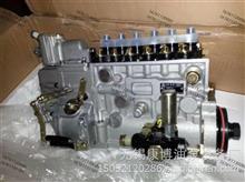 BP1188大柴CA6DE2-22－80车用高压油泵原装正品1111010-E2111111010-E211