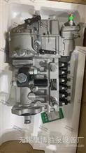 BP11F6锡柴CA6DF2D-17-219A车用高压油泵原装正品1111010-450-2090L1111010-450-2090L