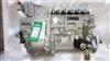 BP12C8大柴CA6DE3-18E3F车用高压油泵原装正品1111010-E975 1111010-E975