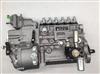 BP12C8大柴CA6DE3-18E3F车用高压油泵原装正品1111010-E975/1111010-E975