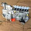 BP12E6大柴CA6DE3-18E3F车用高压油泵原装正品1111010AY132 1111010AY132