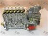 BP12G2大柴CA6DE3-18E3FA149Q车用高压油泵原装正品1111010-EA20 1111010-EA20