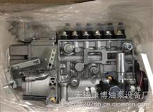 卡特6121发动机C47AB-47AB001+C龙口喷油泵总成适用上柴BHT6P120C47AB-47AB001+C