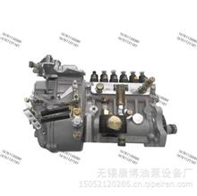 大柴CA6DE3-24车用发动机龙口喷油泵总成适用大柴PZ/BH6PCA6DE3-24