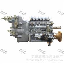 大柴6DE2-24-90Z（T）车用发动机龙口喷油泵总成适用大柴BHT6P1206DE2-24-90Z（T）