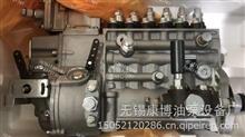 BP2449锡柴CA4DW93-78E3F车用高压油泵原装正品1111010-B6D-00001111010-B6D-0000