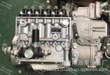F3000-1111100-C27车用燃油泵BP2409适用玉柴YC4F115-23发动机F3000-1111100-C27