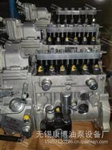 BP2423D锡柴CA4DW93-84E3F车用高压油泵原装正品1111010-B43-YF3A1111010-B43-YF3A