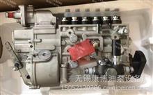 CB6P101中国重汽PS3000燃油喷射泵总成H61Q15089248 WD615.61Q15/车用燃油泵H61Q15089248