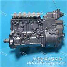 CB6P153中国重汽PS7100燃油喷射泵总成H46D01089011 WD615.46D01/发电用燃油泵H46D01089011