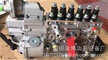 CB4P418中国重汽PS7100燃油喷射泵总成HG1524089002 WD415.24C01/船用发动机燃油泵HG1524089002