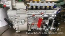 612600083108中国重汽CB6P183燃油喷射泵总成潍柴WD615.58/车用(降扭矩）高压油泵612600083108