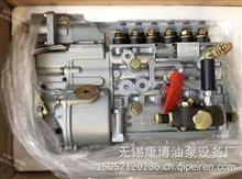 CB4P241中国重汽PS3000燃油喷射泵总成H41516D04089011 WD415.16D04/发电用燃油泵H41516D04089011