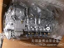 CB6P244中国重汽PS3000燃油喷射泵总成H68D02E089002 WD615.68D02 /发电用燃油泵H68D02E089002