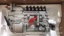 CB4P253中国重汽PS7100燃油喷射泵总成H41521081002 WD415.21/车用（顶隙柱塞）燃油泵H41521081002