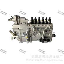 CB6P245中国重汽PS7100燃油喷射泵总成H46D01E089002 WD615.46D01 /发电用燃油泵H46D01E089002