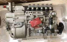 CB6P852中国重汽PS8500燃油喷射泵总成HG1500089006L WD615.46D/出口发电机（带电子调速器)燃油泵HG1500089006L
