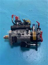 柴油发动机发动机油泵总成9320A346G9320A346G