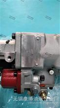 康明斯PT燃油泵总成C.3060949适用K2010-300KW发电机3060949