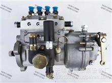 山东康达高压油泵总成4Q144KM  BQ4A-1.0.0-06h(BH4Q85R8)4Q144KM