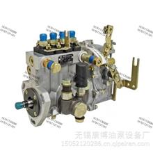 山东康达高压油泵总成4Q215W3-1/4Q215-1W适用BQ4A-1.0.0-06b-1(BQ/BH4Q75R8)  T-300-1150Z发动机4Q215W3-1