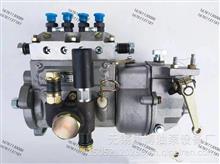 山东康达高压油泵总成4Q221x/4Q221x-1适用BH4Q80R8  T-300-1325Z发动机4Q221x