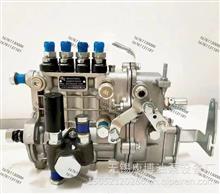 山东康达高压油泵总成4Q206x-1/4Q206m2-1适用T4A-06YN(BH4Q80R8) 发动机4Q206x-1