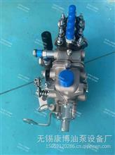 山东康达高压油泵总成4Q252适用BH4Q80R8 T-300-1100Z发动机4Q252